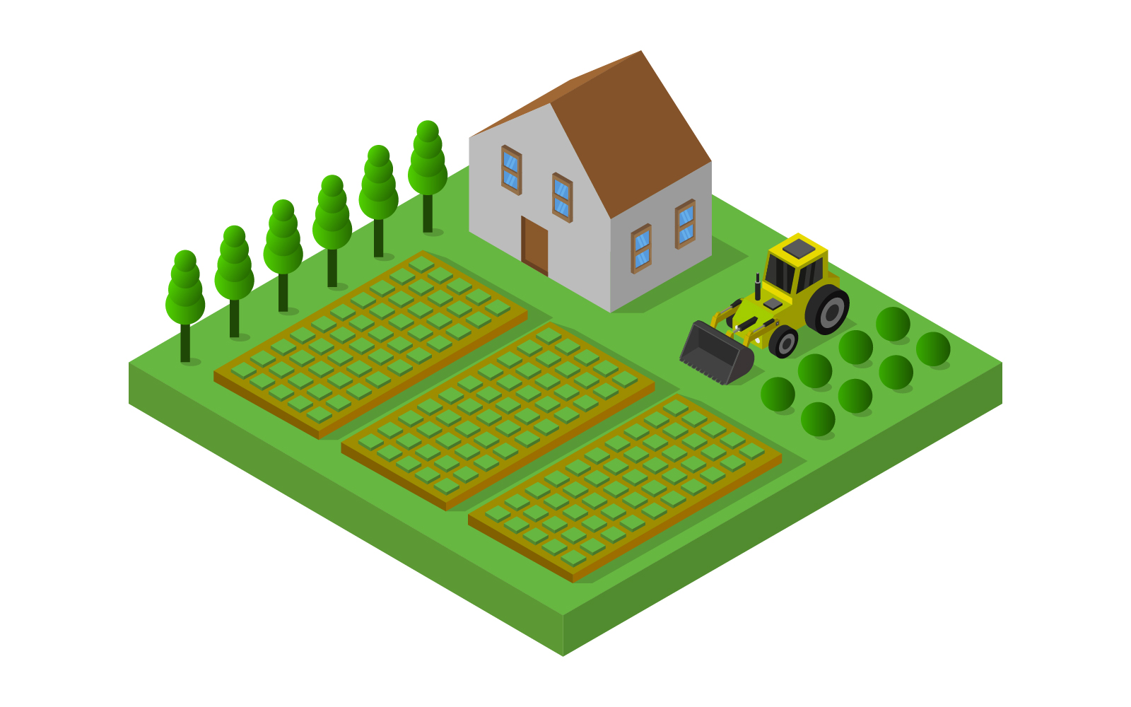 Isometric farm - Vector Image