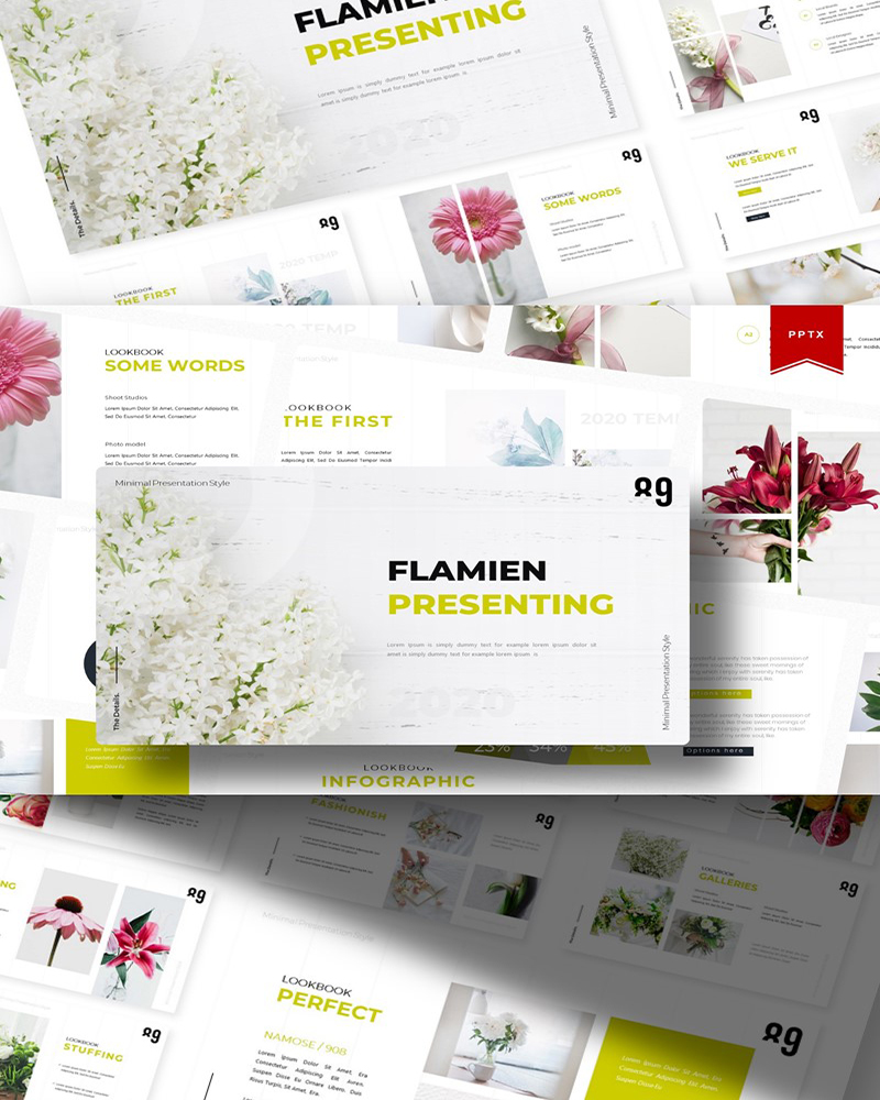 Flamien | PowerPoint template