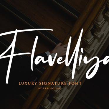 Font Script Fonts 104048