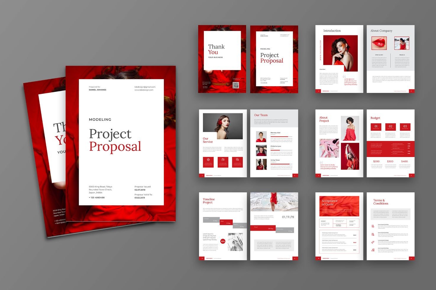 Proposal Modeling Project - Red and White Theme With Transparent Overlays