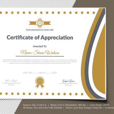 Appreciation Recognition Certificate Templates 104729