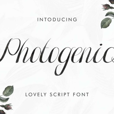 Brochure Brush Fonts 104750