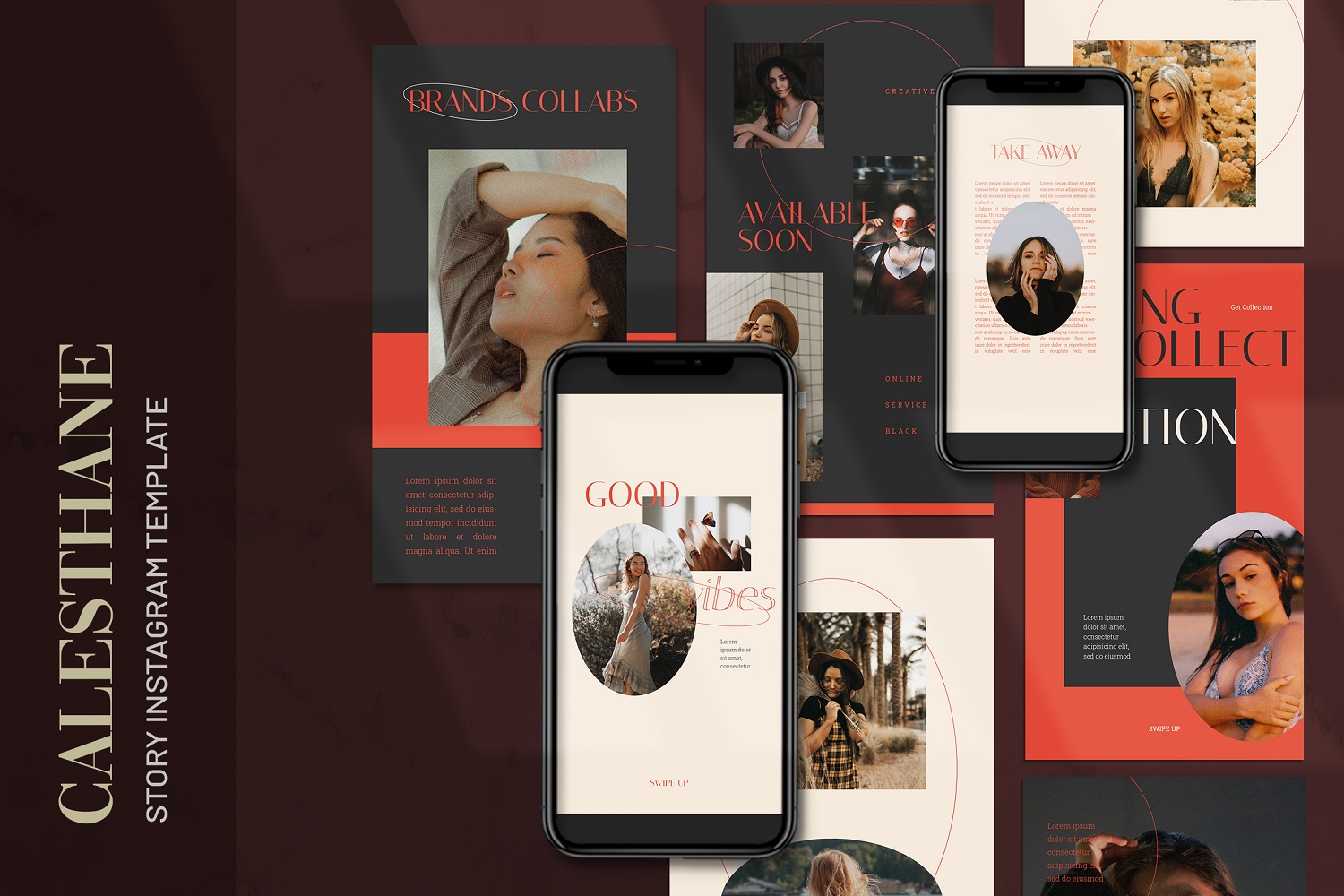 Calesthane - Fashion Instagram Stories Template for Social Media
