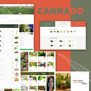 <a class=ContentLinkGreen href=>Website Templates</a></font> cannabis concentrate 108090