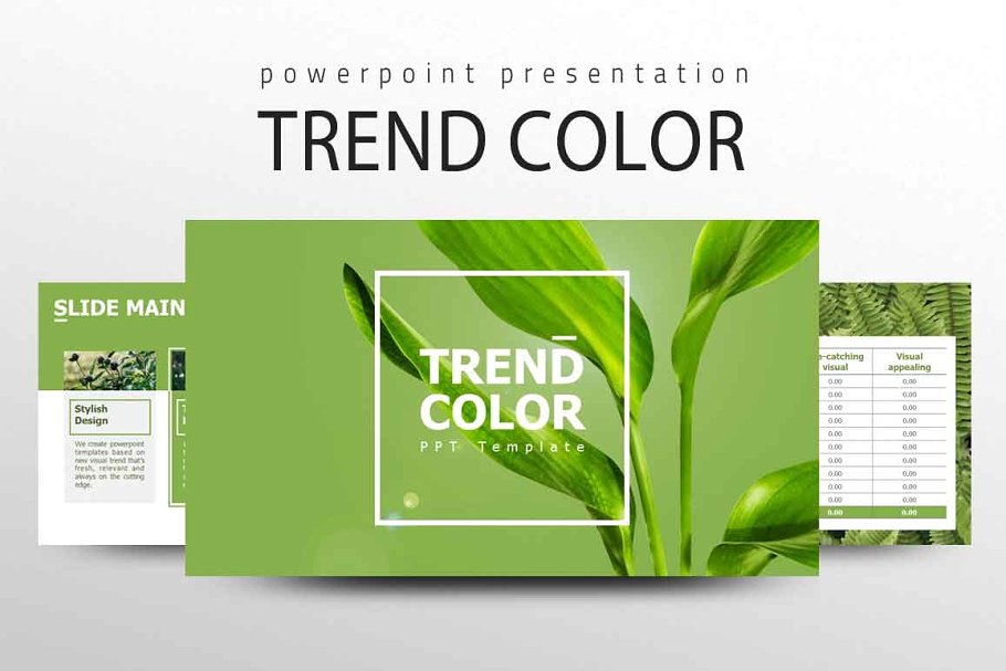 Trend Color PowerPoint template