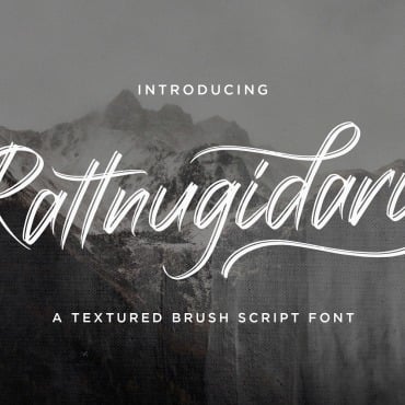 Script Calligraphy Fonts 108786