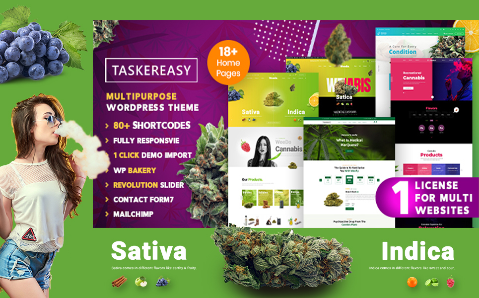 WordPress Themes