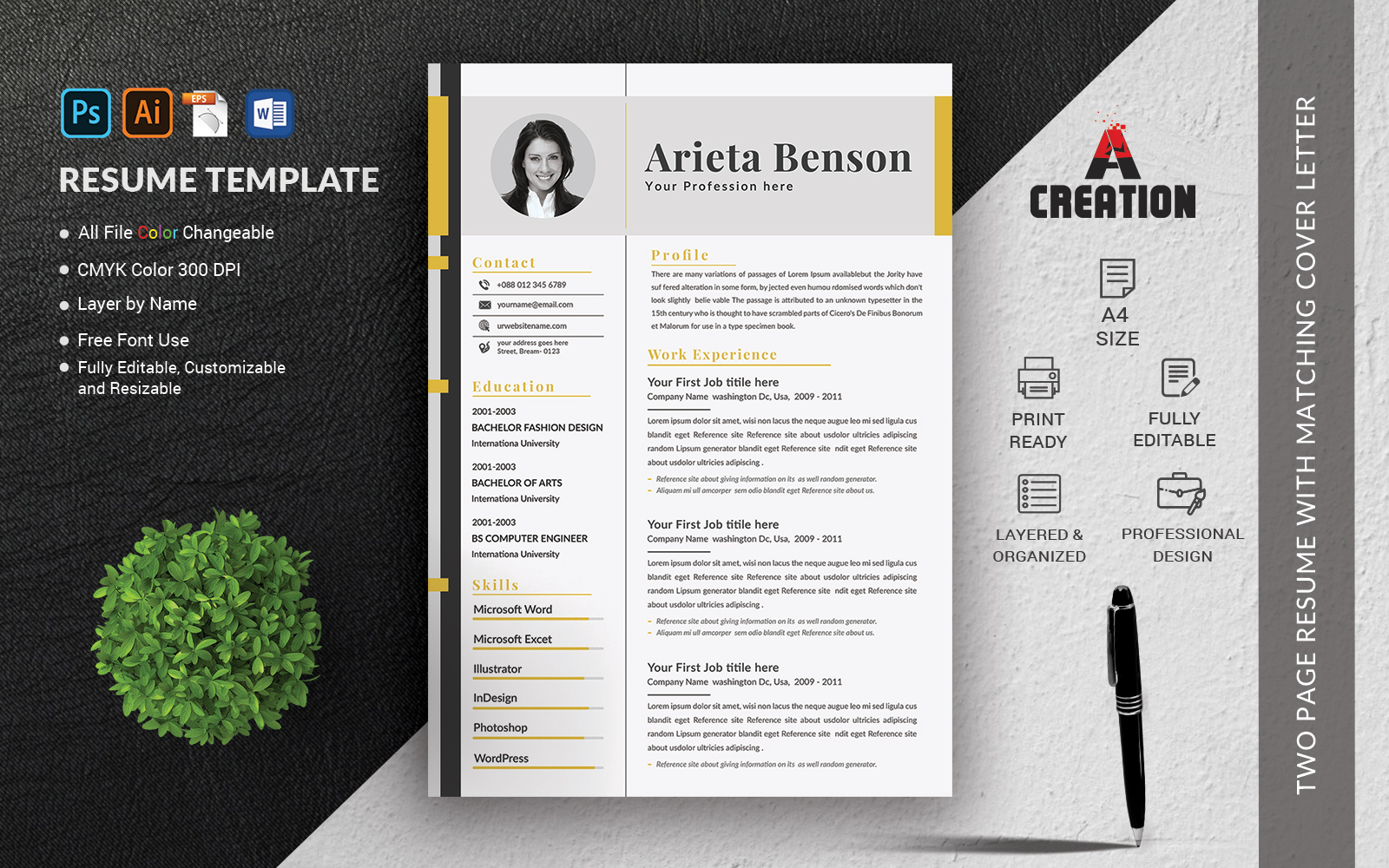 CV Template Layout Resume Template