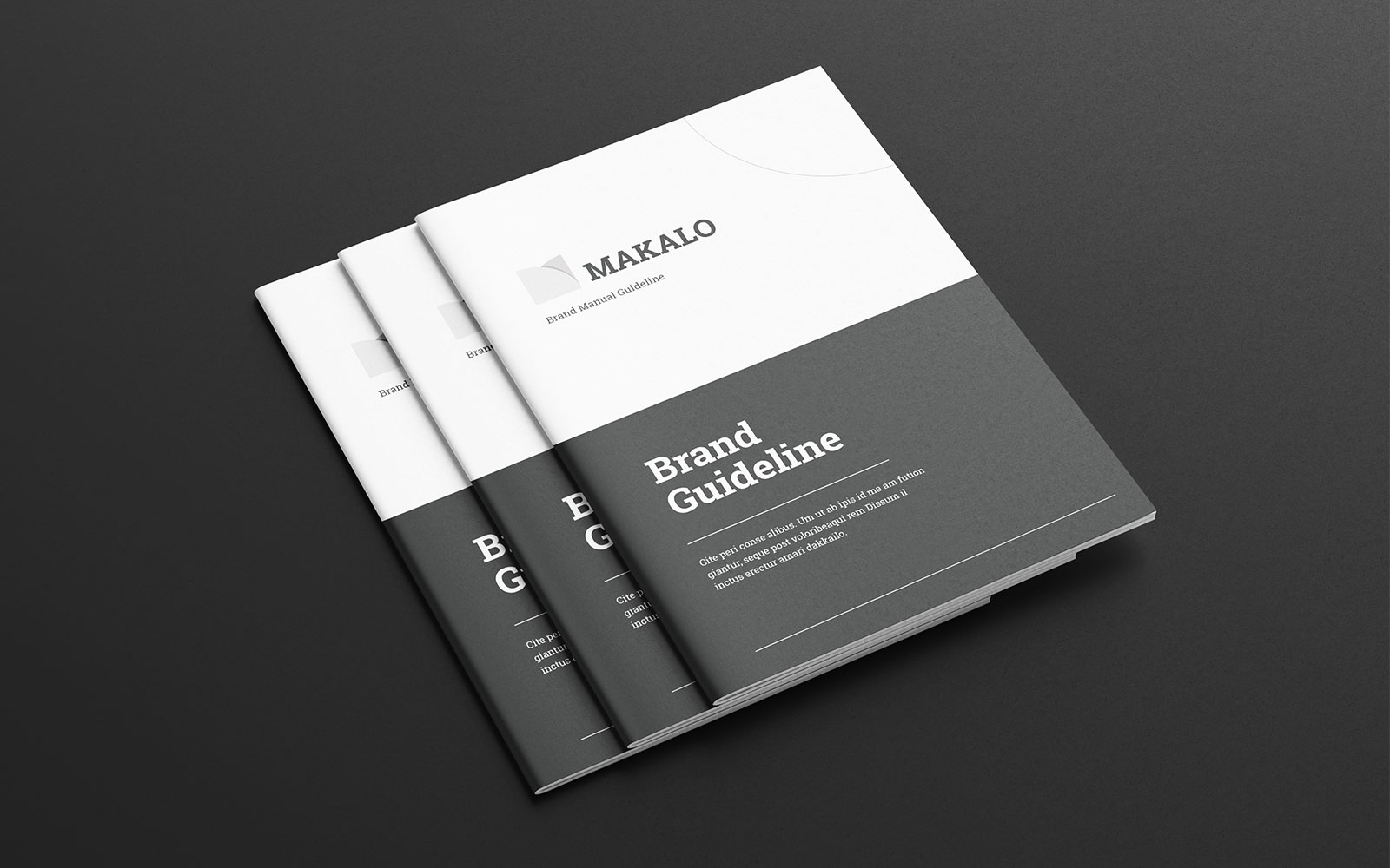 Brand Guideline Brochure - Corporate Identity Template