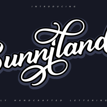 Typography Type Fonts 112088