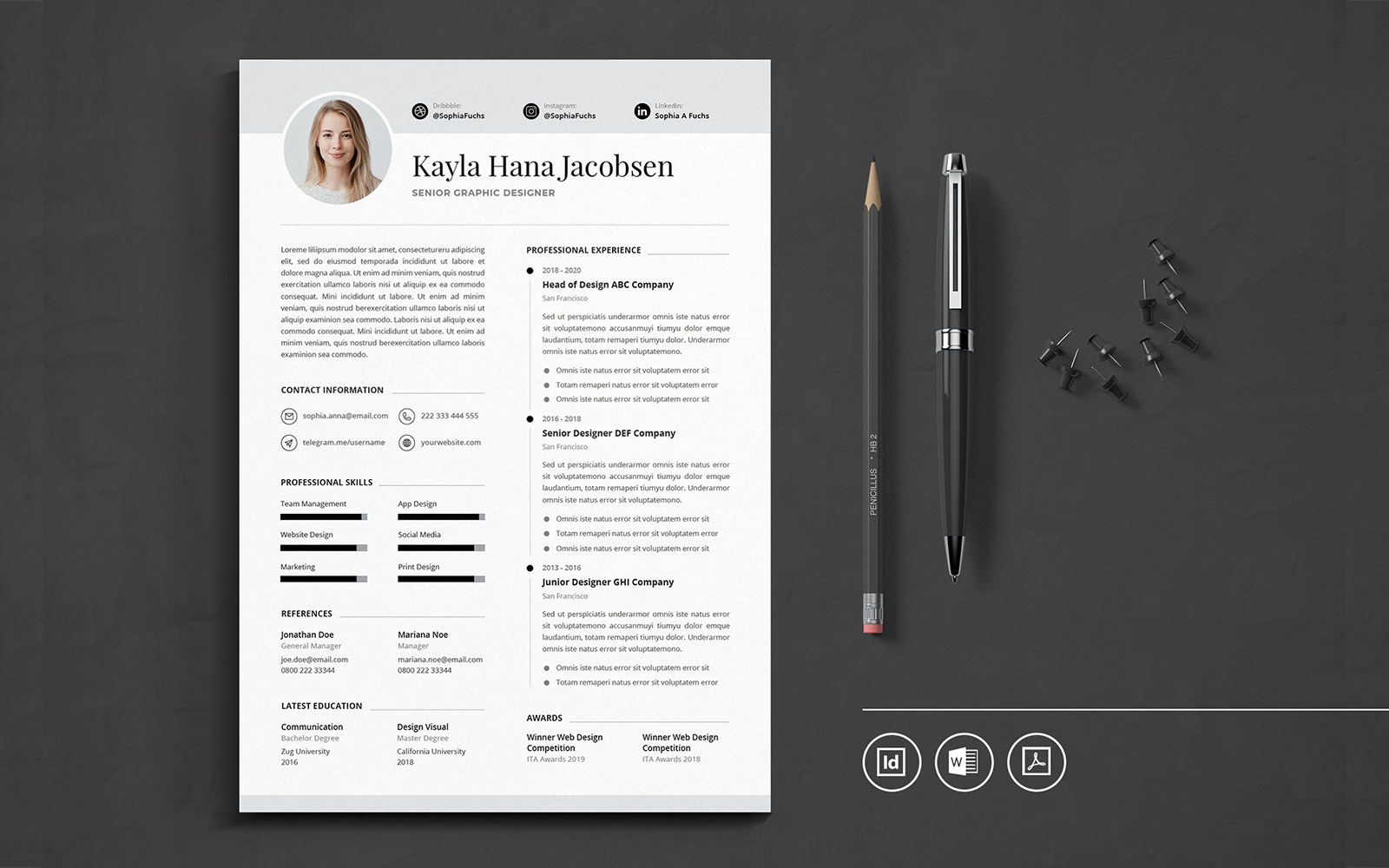 Professional CV Indesign Vol.50 Resume Template