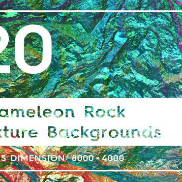 Rock Texturechameleon  112530