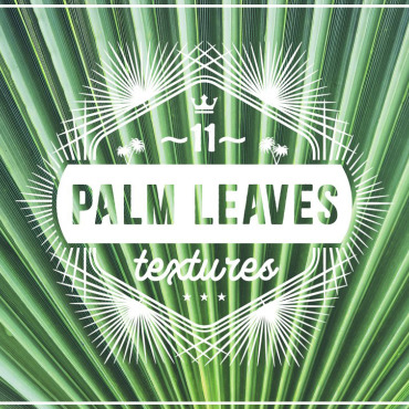 <a class=ContentLinkGreen href=></a></font> feuilles texture 112663