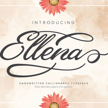 Calligraphy Modern Fonts 112931