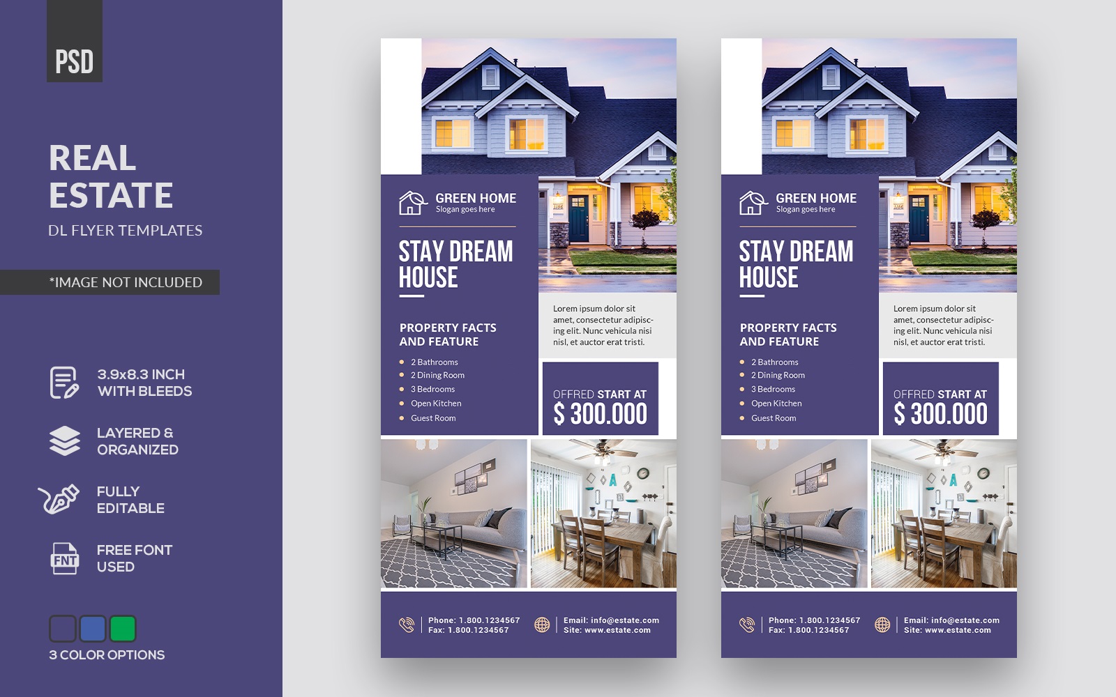 Real Estate DL Flyer' - Corporate Identity Template