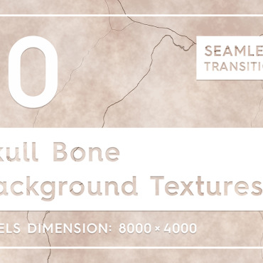 Bone Textureskull  113500