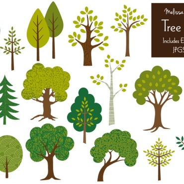 Evergreen Pine Illustrations Templates 113843