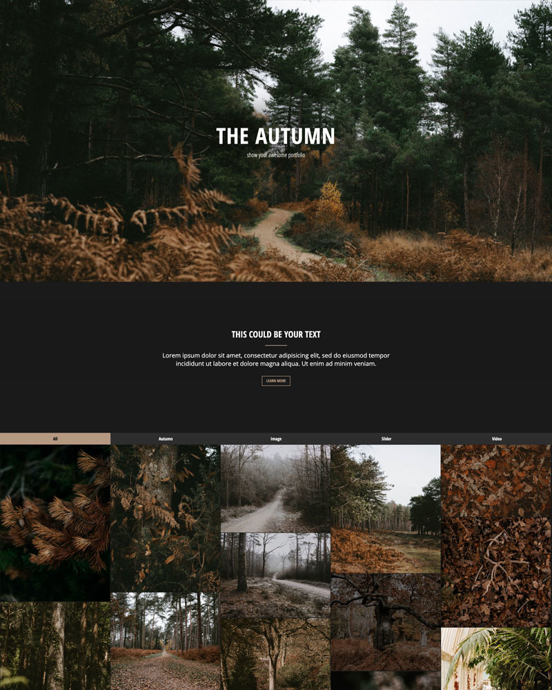 The Autumn - HTML - Portfolio | Responsive Website Template