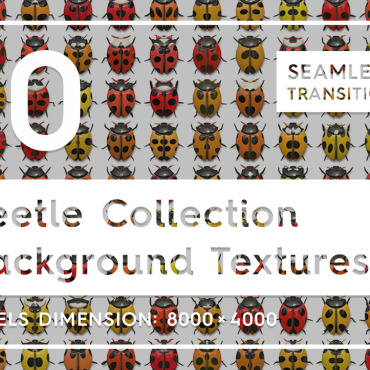 Texture Beetle Backgrounds 113983