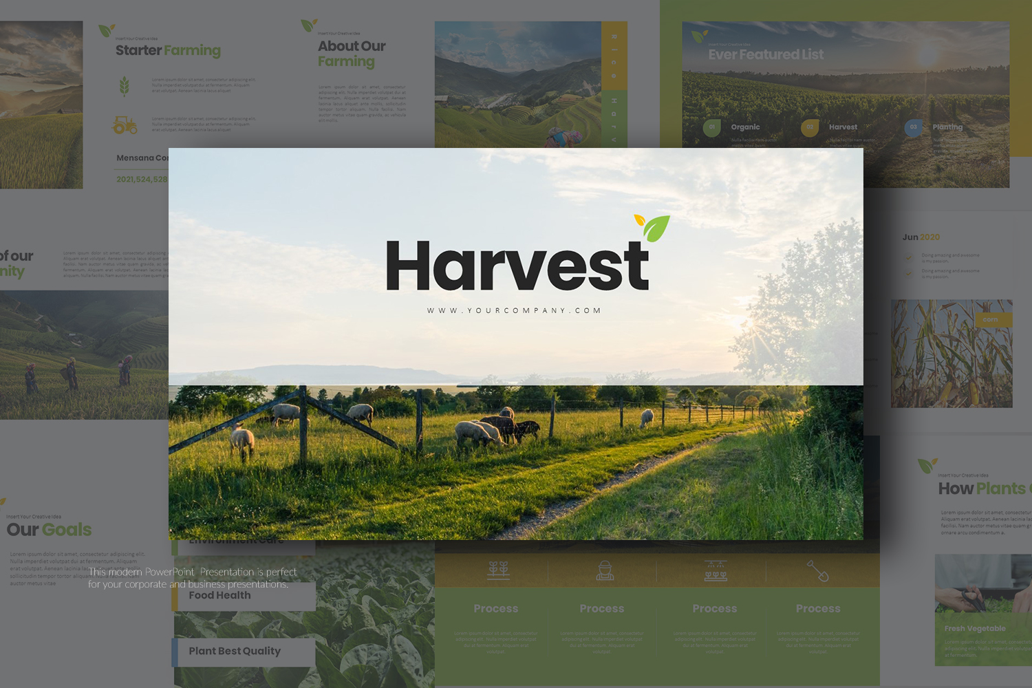 Harvest Google Slides