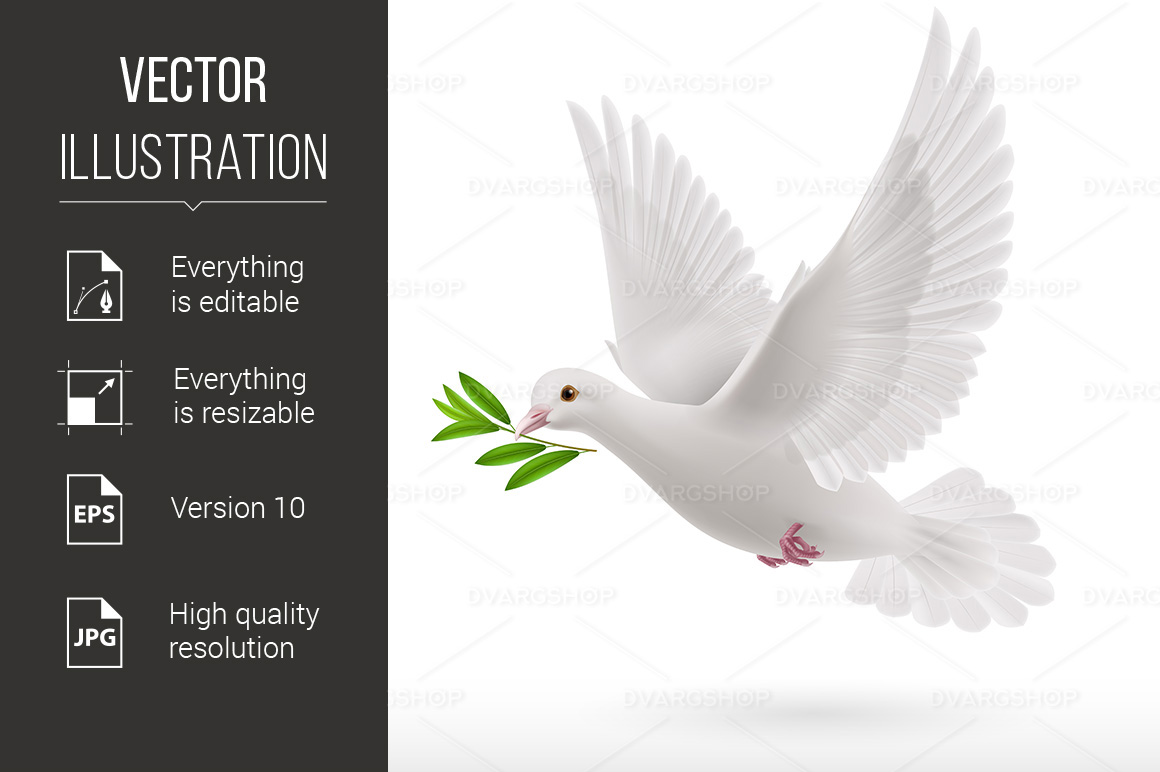 Fly dove - Vector Image