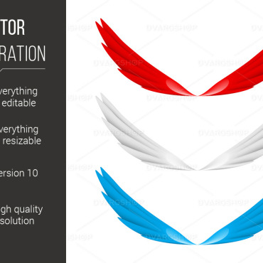 Colorful Wings Vectors Templates 116224
