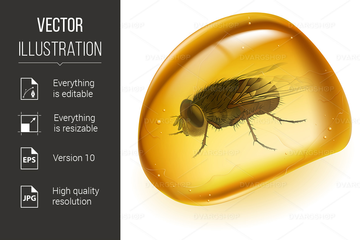 Realistic Amber - Vector Image