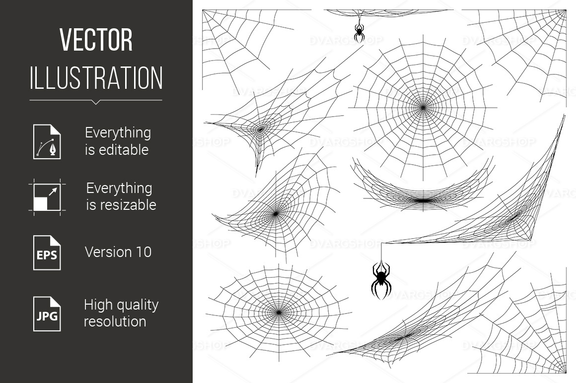 Spider Web - Vector Image