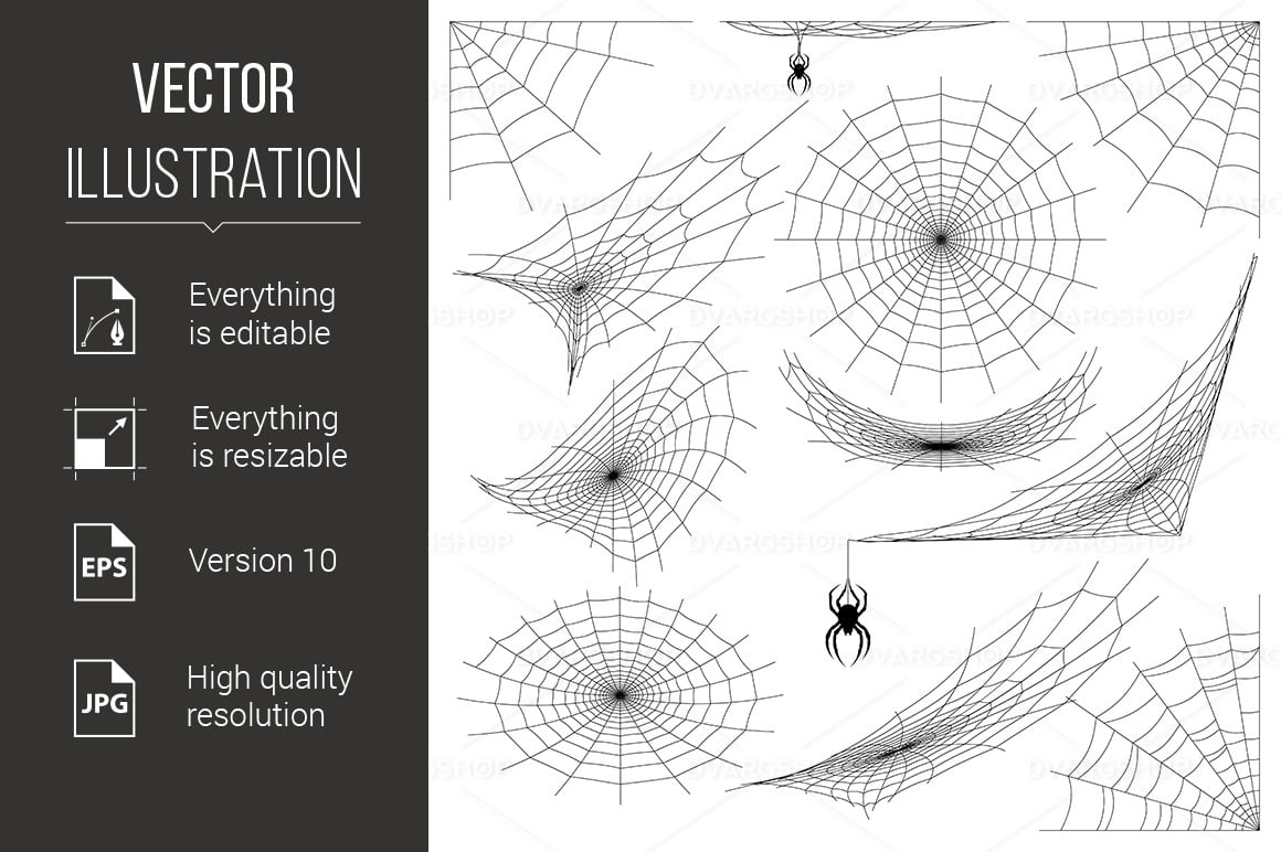 Spider Web - Vector Image