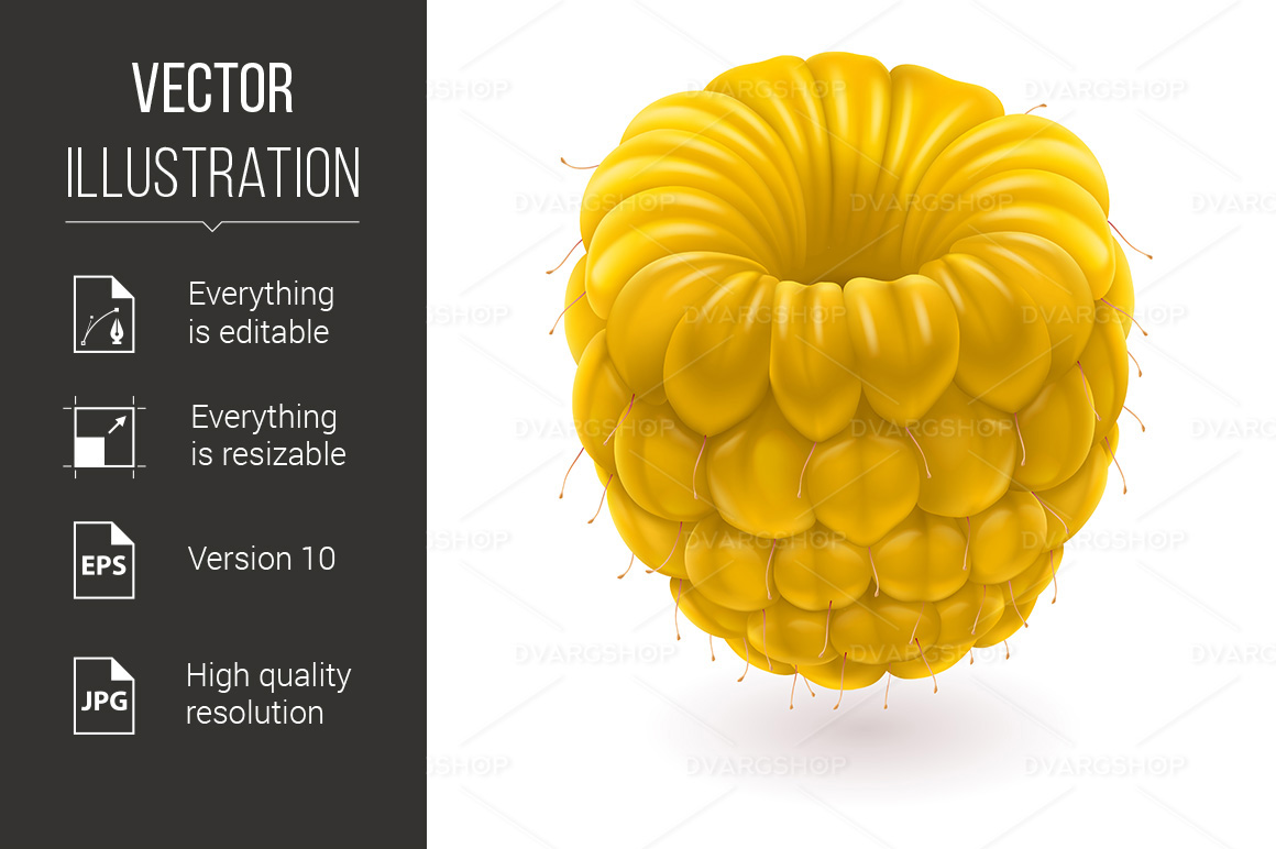 Yellow Raspberries - Vector Image