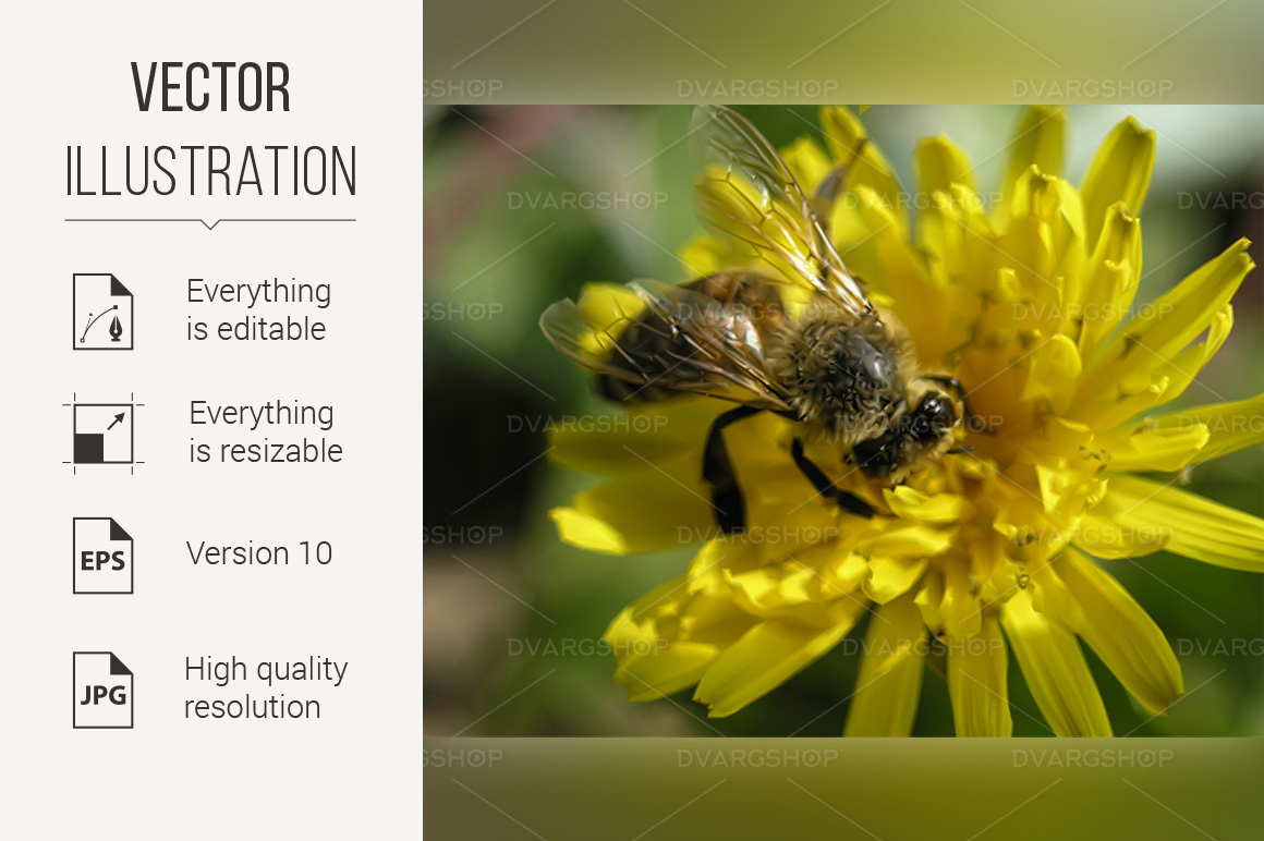 Bee on the Flower - Vector Image