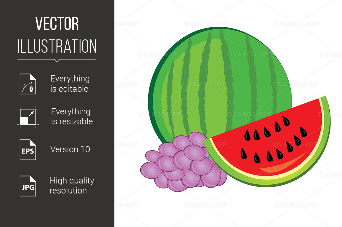 Watermelon and Grapes - Vector Image