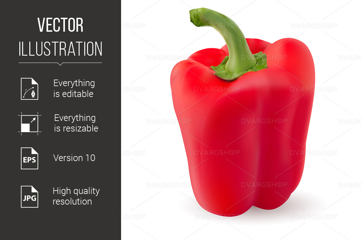 One Red Pepper - Vector Image