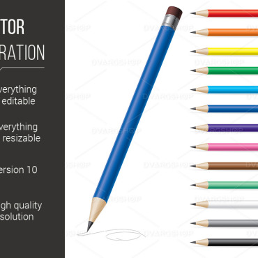 Color Illustration Vectors Templates 116636