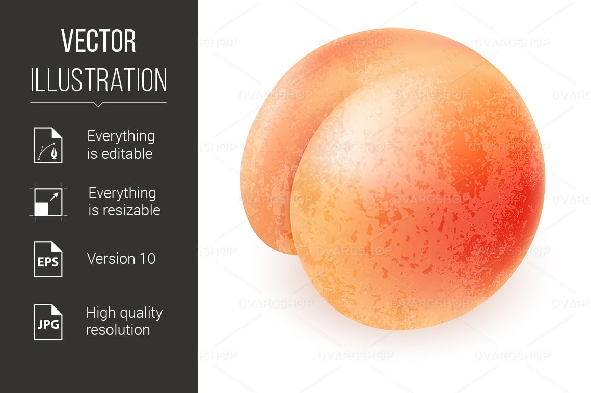 Appetizing Ripe Peach - Vector Image