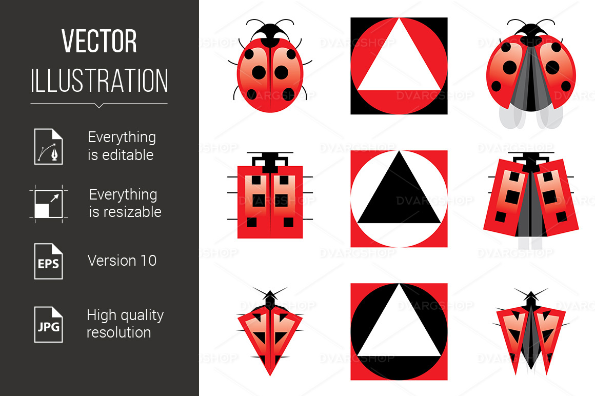 Conceptual Evolution of Ladybug - Vector Image