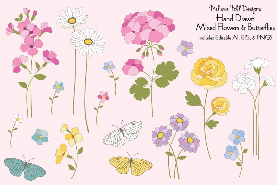 Hand Drawn Flowers and Butterflies - Illustration