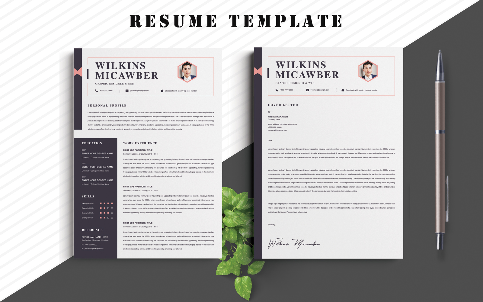 Micawber Resume Template 2023