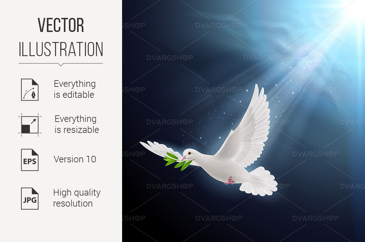 Fly Dove - Vector Image