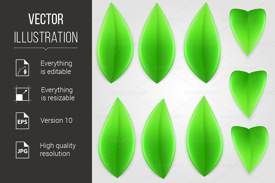 Set of Green Leaves - Vector Image