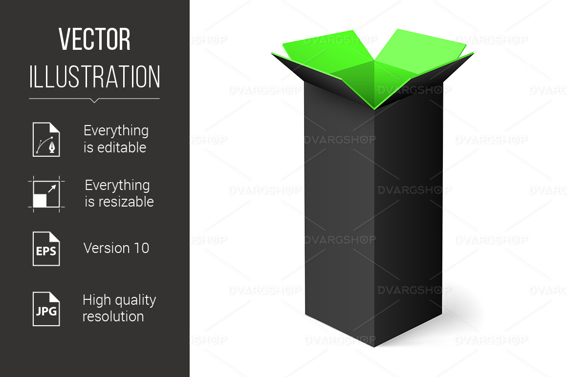 Opened Box - Vector Image