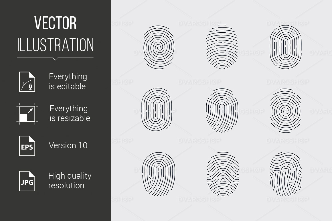 Fingerprint - Vector Image