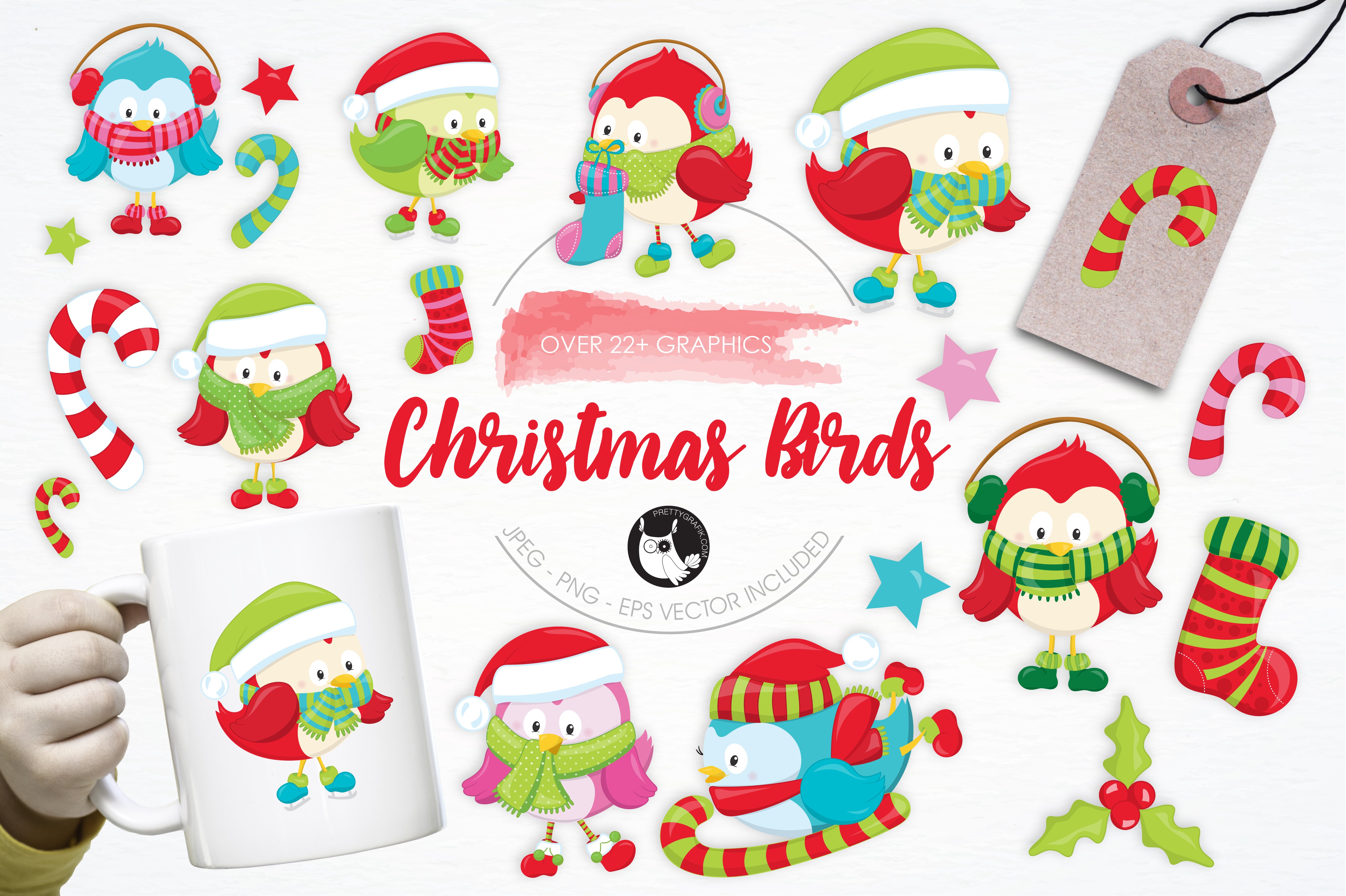Christmas Birds illustration pack - Vector Image