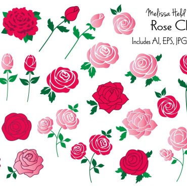 Roses Flower Illustrations Templates 118481