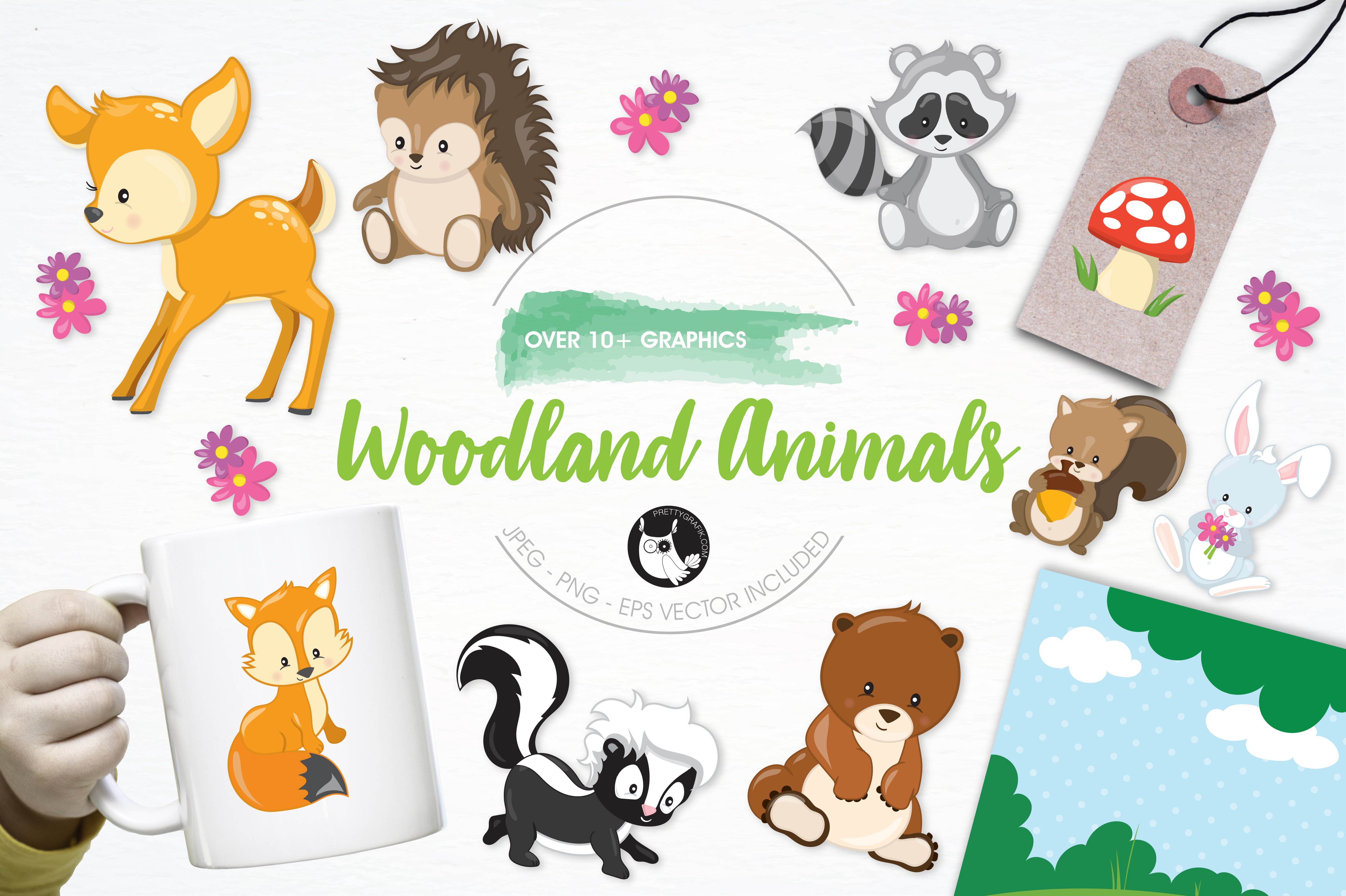 Woodland Animals Illustration Pack - Vector Image