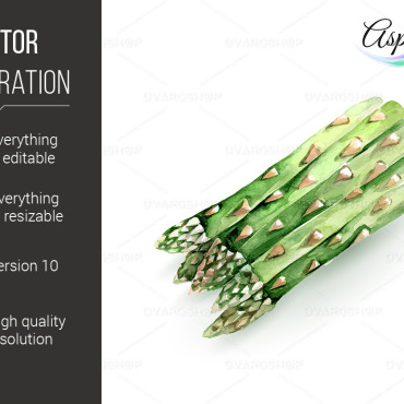 Background Asparagus Vectors Templates 119569