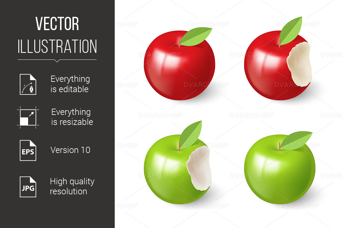 Apples - Vector Image