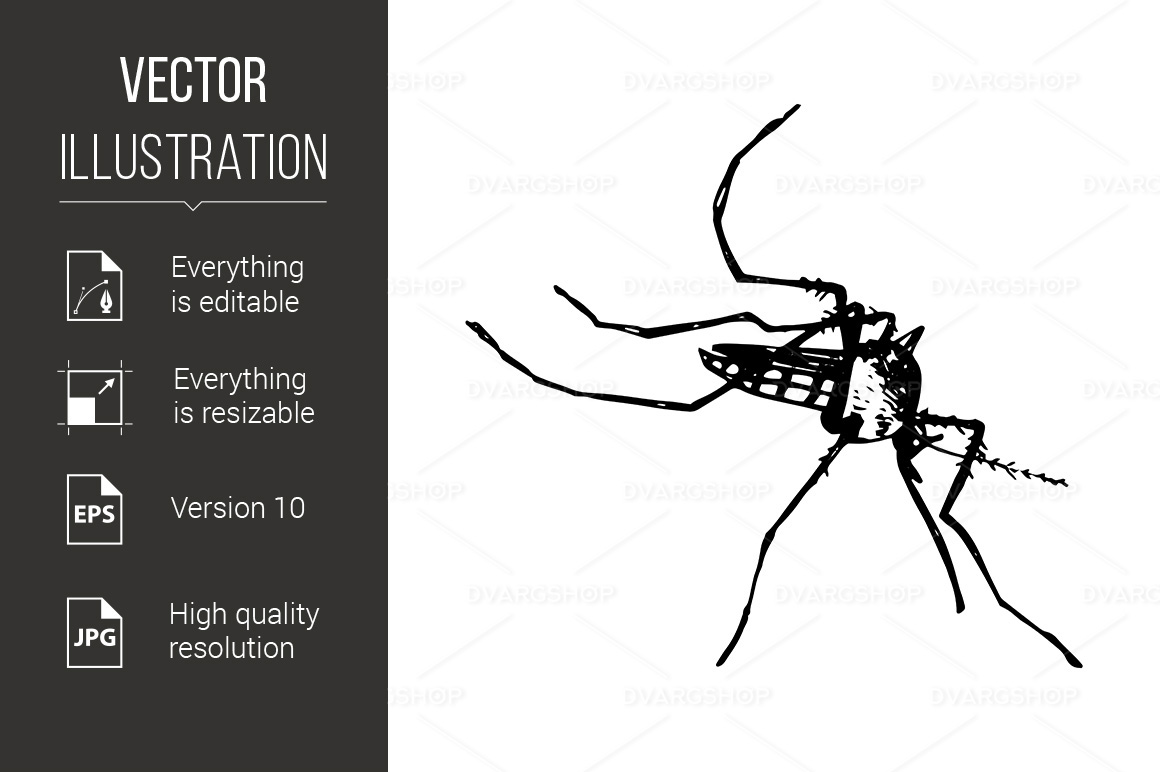 Mosquito Icon - Vector Image