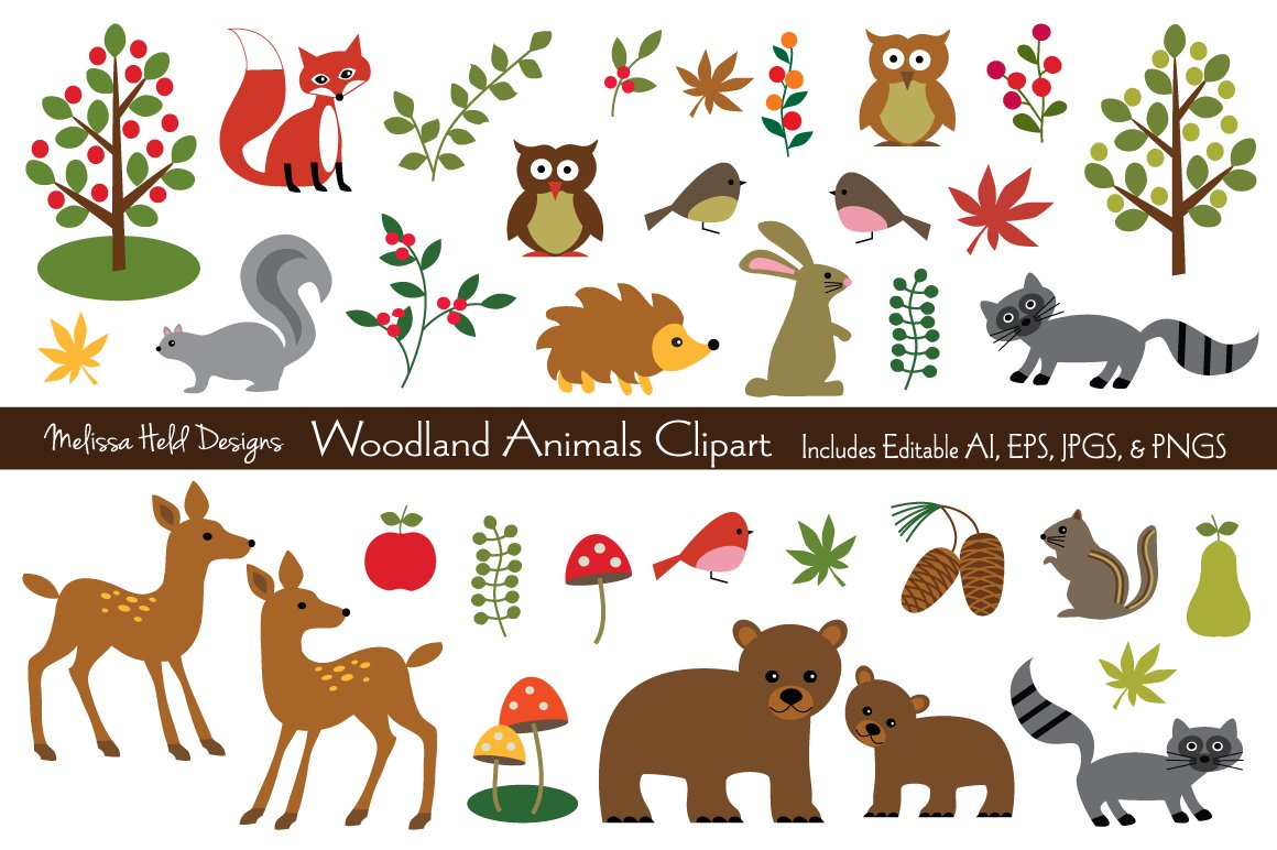 Woodland Animals Vector Clipart - Illustration