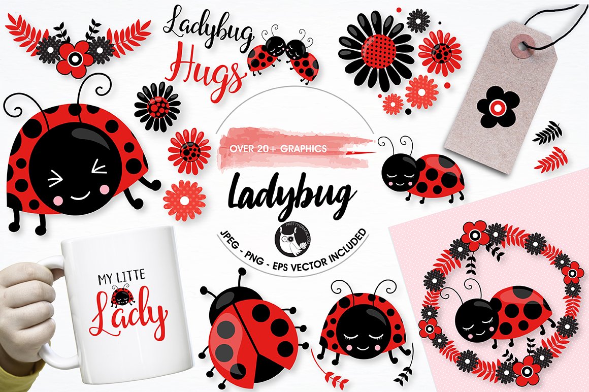 Ladybug graphics and illustrations - Vector Image